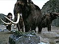 Mammoth demise &#039;not linked to humans&#039;