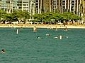 Ala Moana Buoys Become Permanent Fixtures