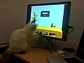 Gato jugando al Duck hunt