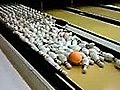 Mega bowling strike