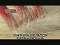 Naruto Shippuden 72 Sub español