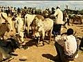 Problems with Farming in Ethiopia