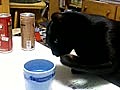 手を洗う猫　クロちゃん　湯のみ編