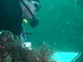 Archaeology: Divers Plumb Depths for U-Boats