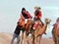 LuAnn on a Camel