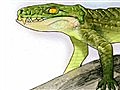 National Geographic Animals - Prehistoric Croc Was Mammal-like