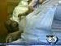 Alcohol,  stress effect baby in womb