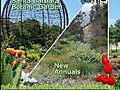 Garden Travels Santa Barbara Botanic Garden New Annuals