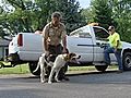 Pooch Safe After Hours Inside Pipe