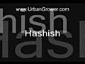 Urban Grower Hashish UG 41
