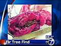 VIDEO: Doctors find tree inside man’s lung