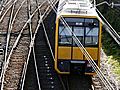 Trees crash on Blue Mountains trains