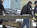 Animal hoarder busted in Long Island