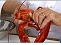 How To Cut a Lobster