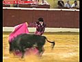 Una iniciativa para prohibir los toros en Andalucía