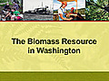 Bioenergy and Biofuels: The Biomass Resource in Washington