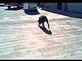 Funny Doggy Uses Lid as a Skateboard