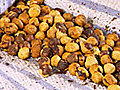 Roasting Hazelnuts