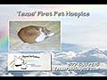 Pet Home Euthanasia Fort Worth Texas