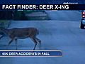 The Fact Finders:  Deer Xing