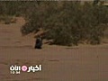 المخدرات مصدر لدخل القاعدة في غرب افريقيا