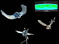 3. Bio-inspired Flying Robots