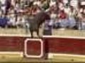 Raw Video: Bull Jumps Into Stands In Spain