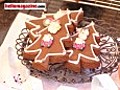 A recipe for delicious chocolate gingerbread biscuits