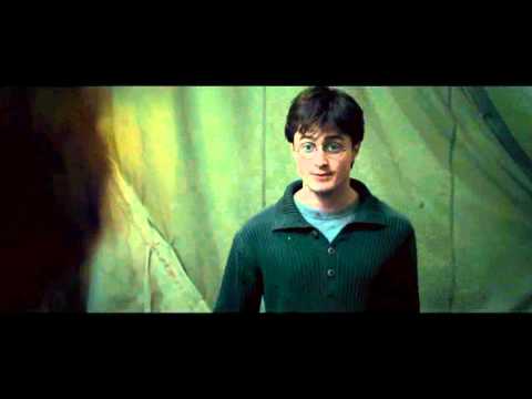 Harry Potter And The Deathly Hallows Part 1 Scene Harry And Ron Fighting - Exyi - Ex Videos