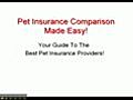 Pet Insurance Comparison Guide