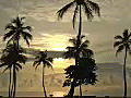 Royalty Free Stock Video HD Footage Pan Left to Ft. Lauderdale Beach at Sunrise