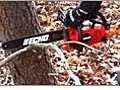 Chain Saw Operator Skill Level