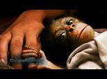 Rise of the Planet of the Apes - Story Featurette