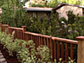 Cedar Fence