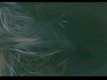 Vídeo-arte do perfume 