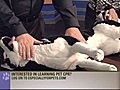 SLA - Canine CPR