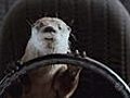 Furry Vengeance - Trailer