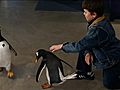 Mr. Popper’s Penguins - Naming the Penguins