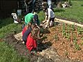 St. Matthias students finish school year tending school’s gardens