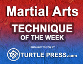 Martial Arts Technique of the Week - Taekwondo Sparring Kicking Combination