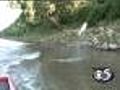 Federal officials soon to reveal Asian carp plans