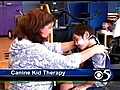 Healthwatch: Dogs help with brain therapy