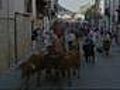 Encierro en Peñafiel