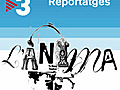 Ànima - Reportatges - BCNEGRA