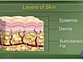 Understanding the Layers of the Skin
