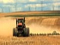 Tractor in the field