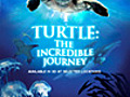 &#039;Turtle: The Incredible Journey&#039; Theatrical Traile...