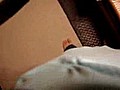 Bird In Shirt