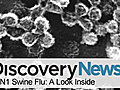 Human: H1N1 Swine Flu: A Look Inside