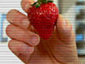 How to Choose the Best Strawberries